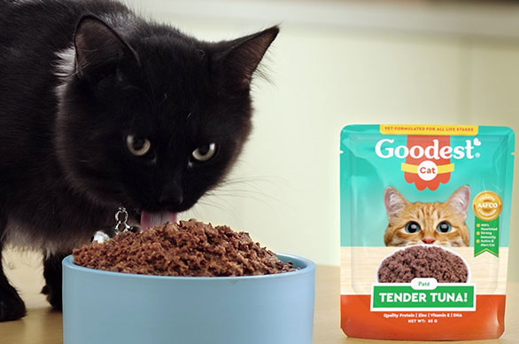 What s Our Furbaby s Food Standard Only The Goodest Goodest Cat